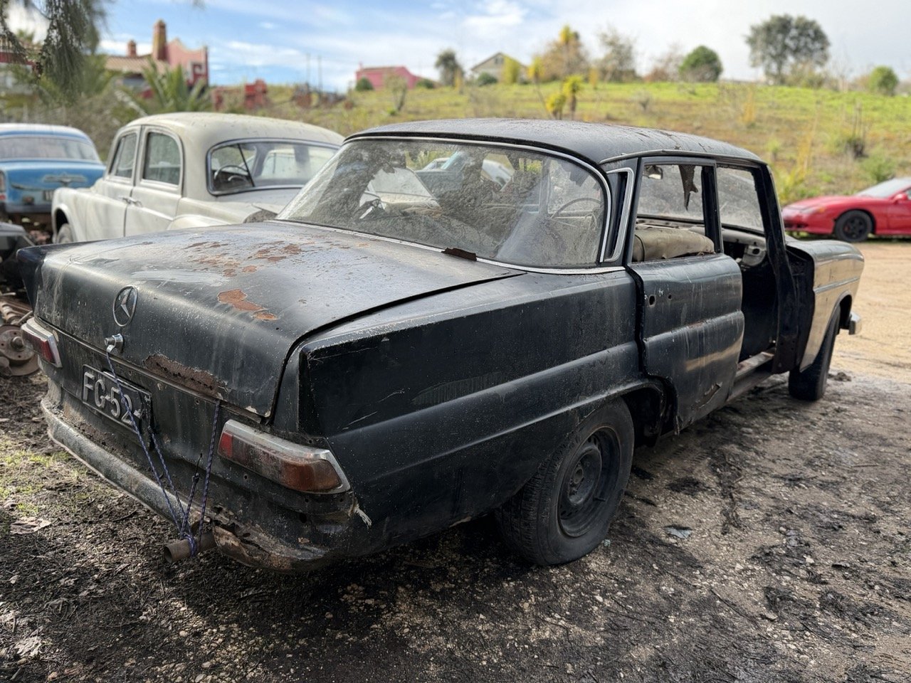 IMG_5231 – grande.jpeg