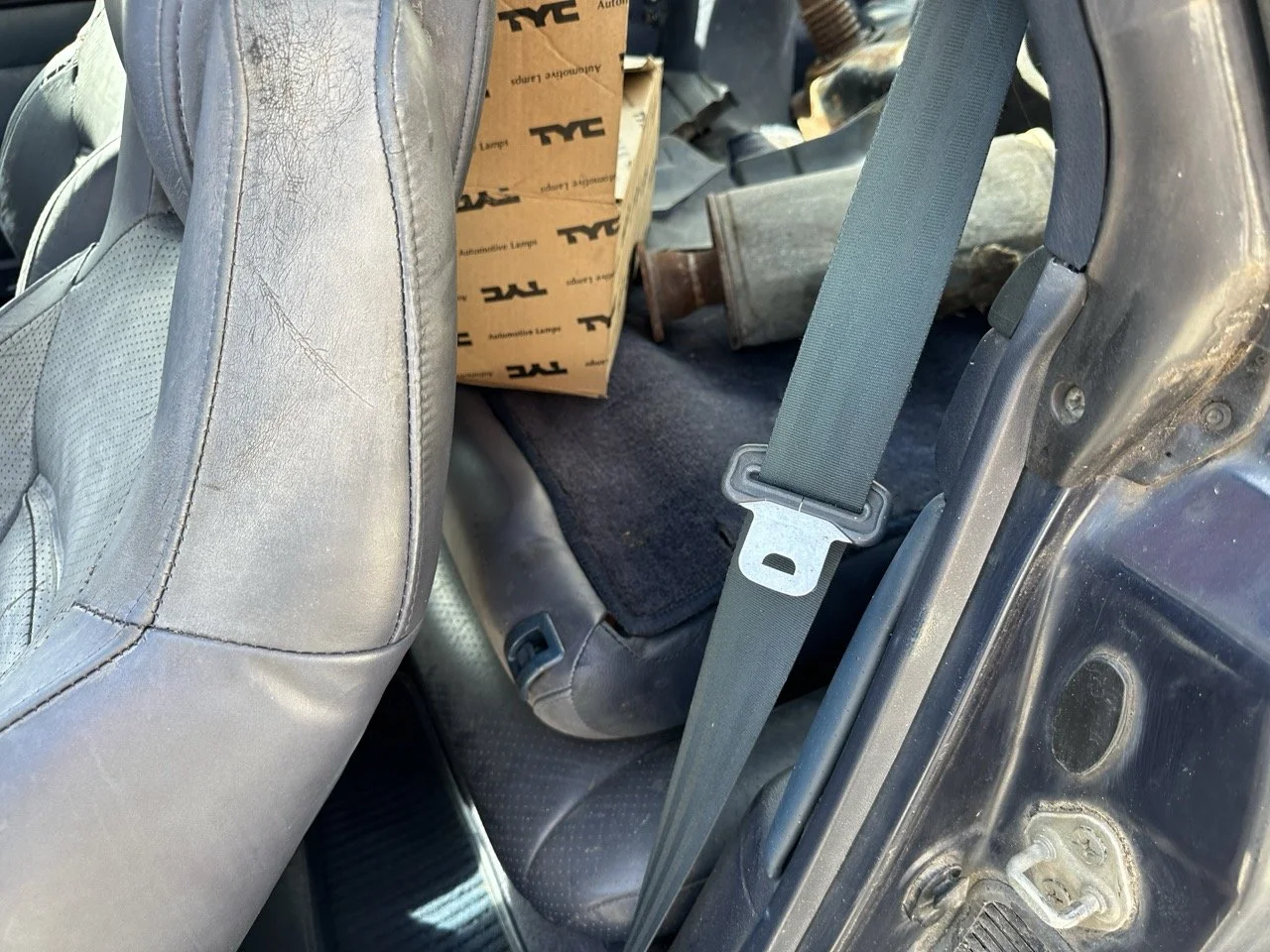 IMG_7194 – grande.jpeg