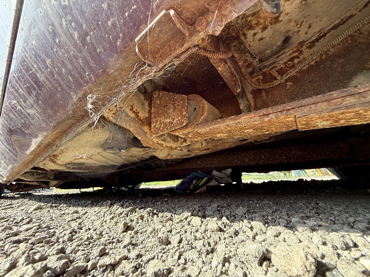 IMG_3053 – grande.jpeg