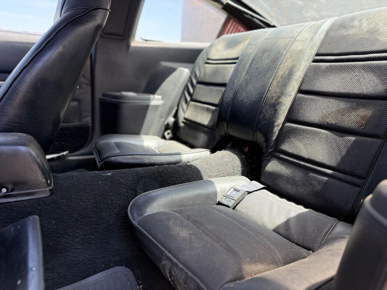 IMG_8056 – grande.jpeg