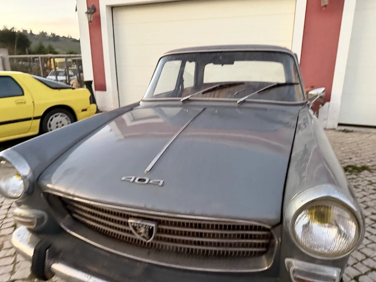 IMG_7542 – grande.jpeg