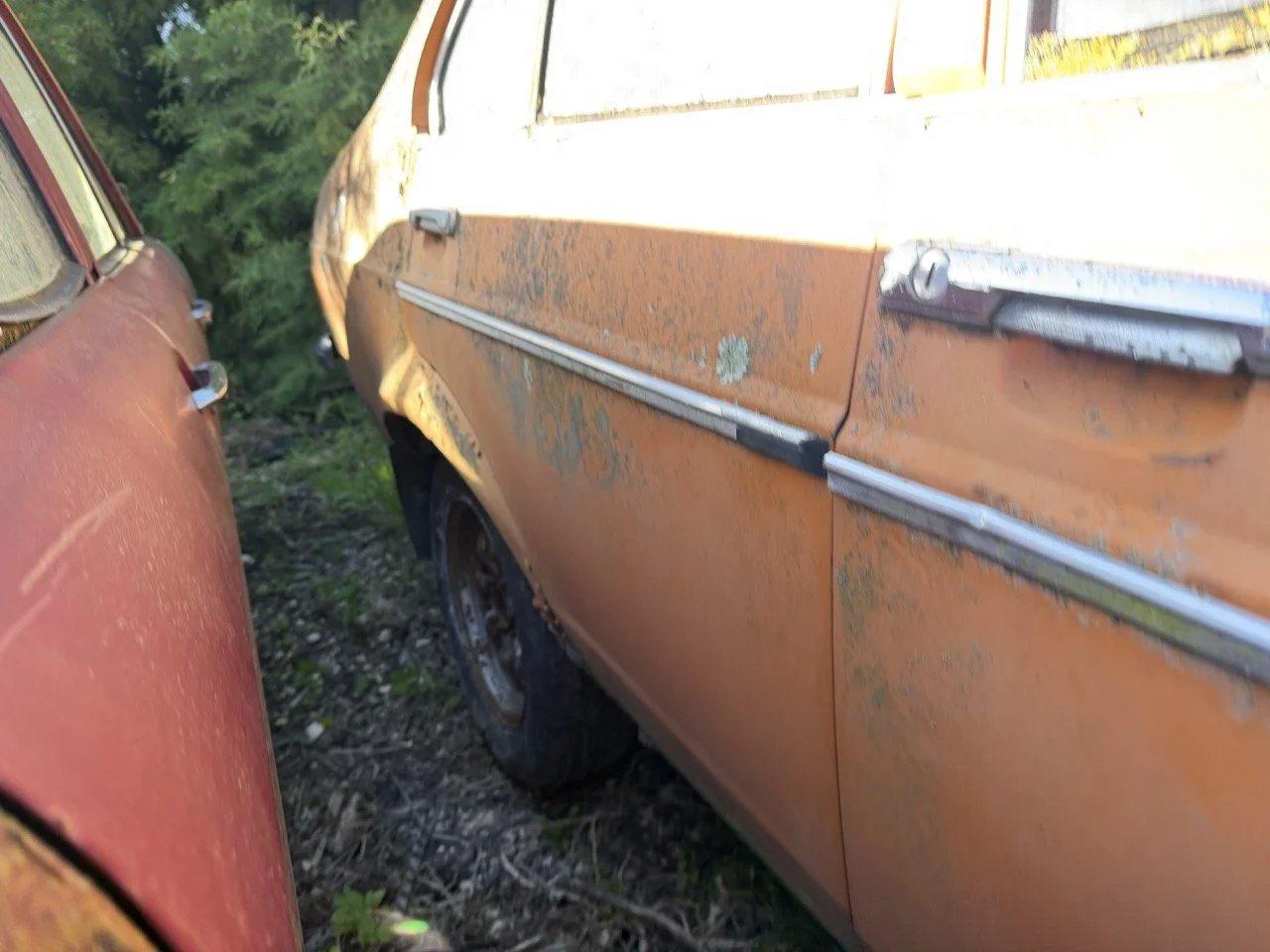 IMG_7715 – grande.jpeg