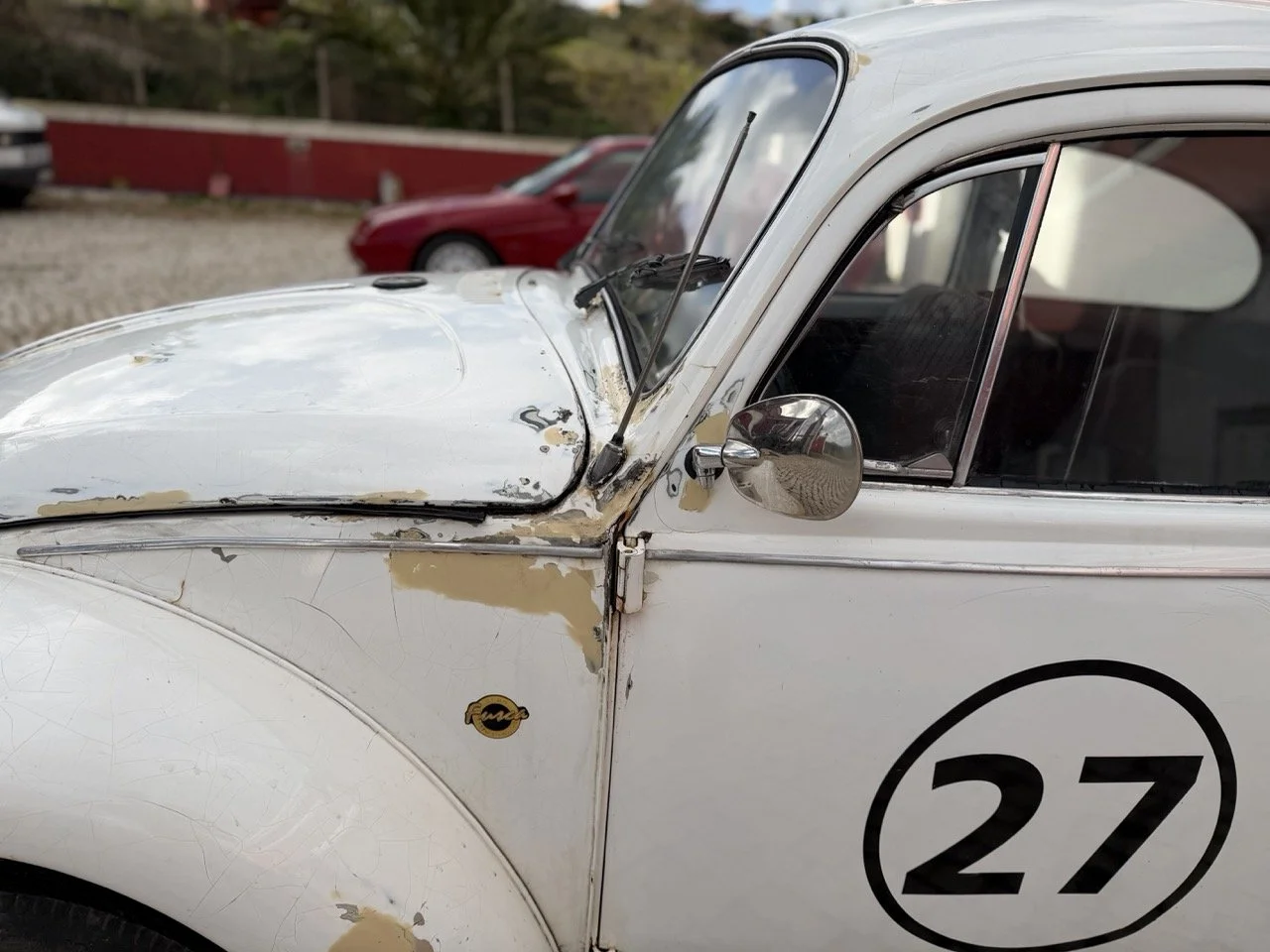 IMG_8657 – grande.jpeg