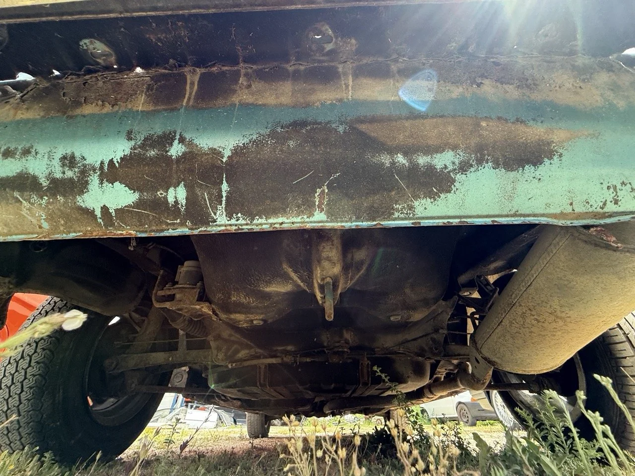 IMG_1567 – grande.jpeg