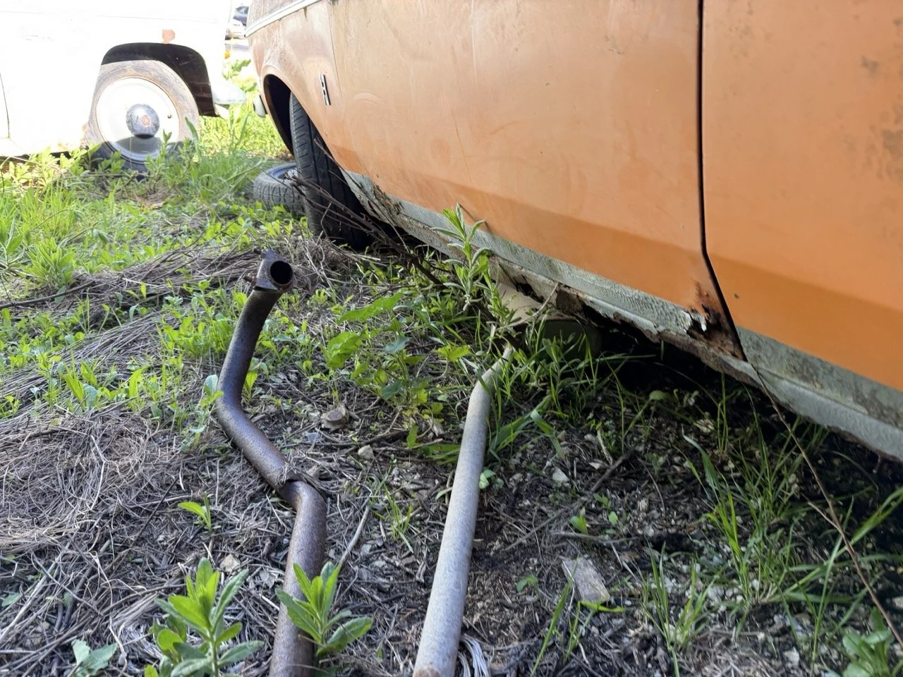 IMG_7702 – grande.jpeg