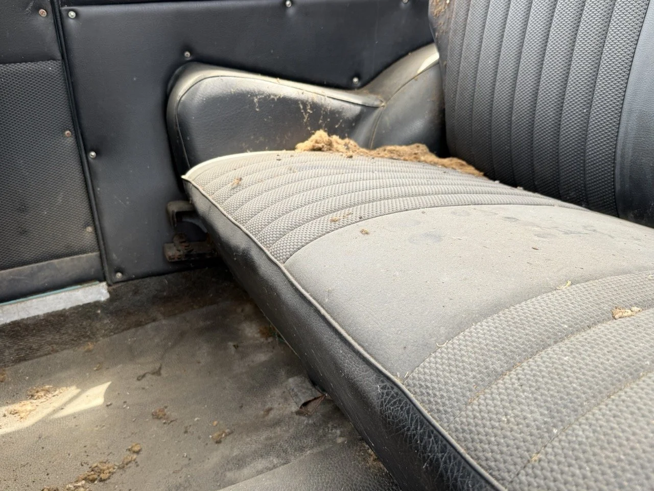 IMG_1394 – grande.jpeg