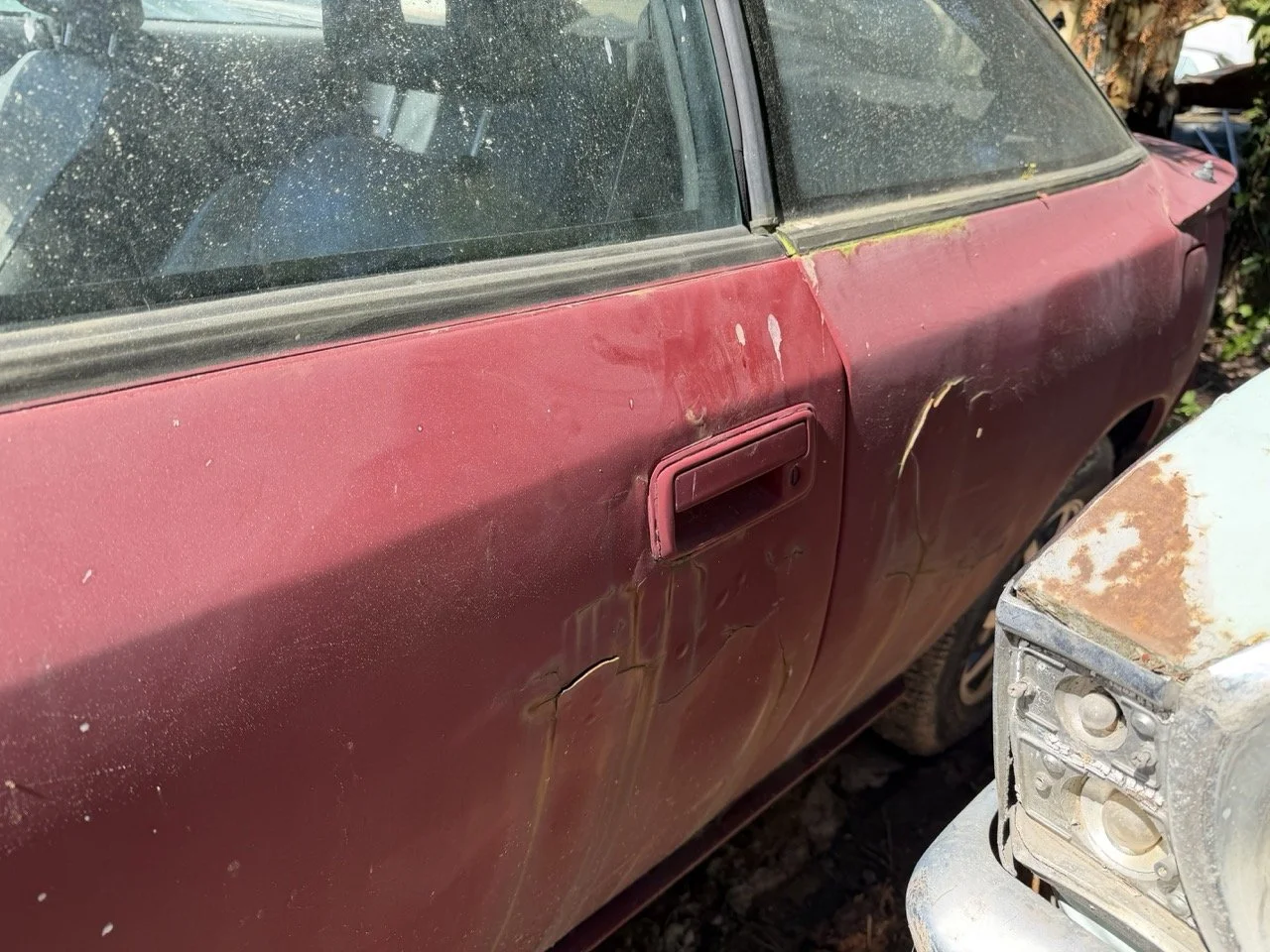 IMG_7636 – grande.jpeg