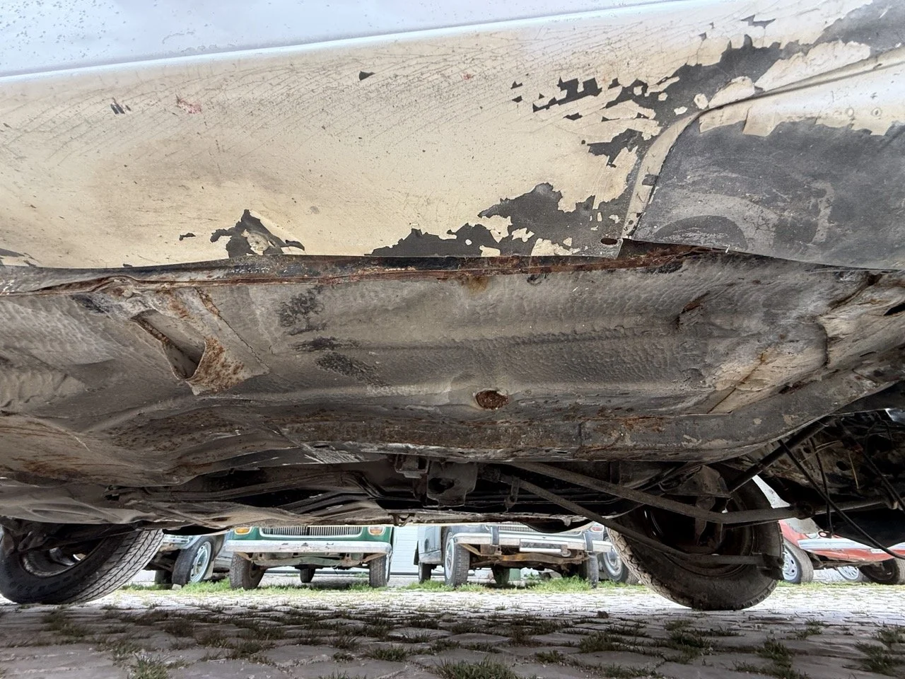 IMG_8644 – grande.jpeg