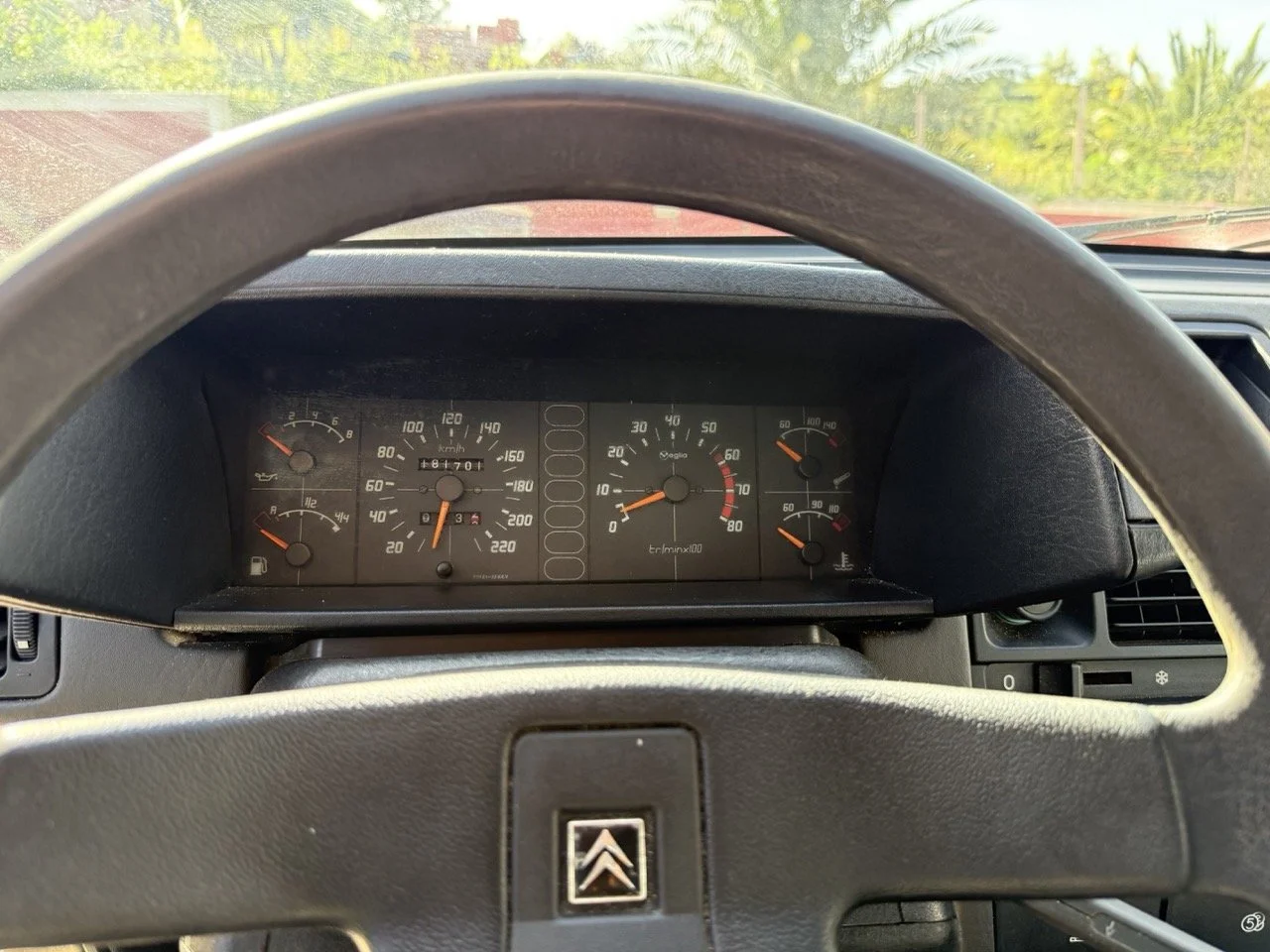 IMG_2531 – grande.jpeg