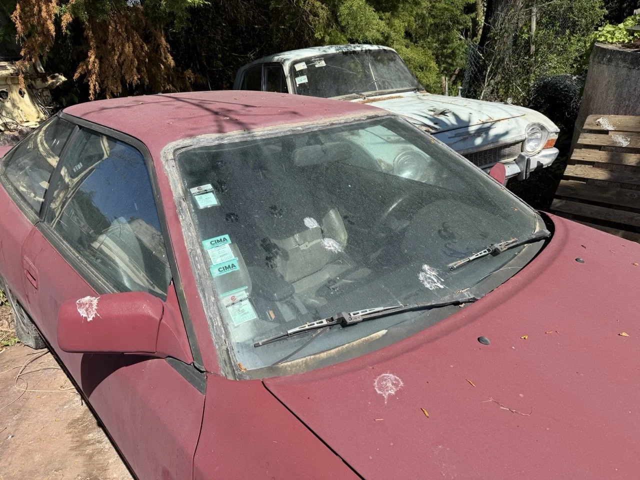 IMG_7629 – grande.jpeg