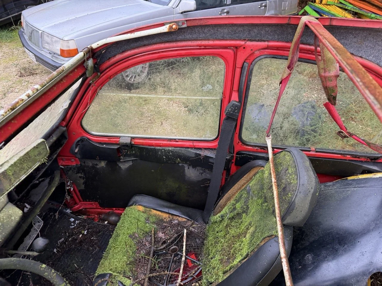 IMG_5475 – grande.jpeg