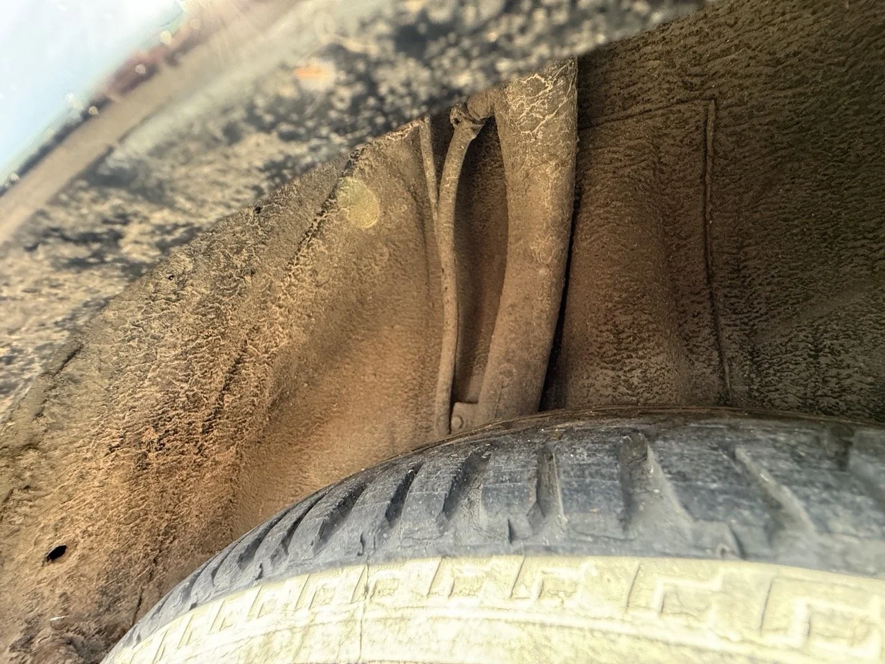 IMG_2951 – grande.jpeg