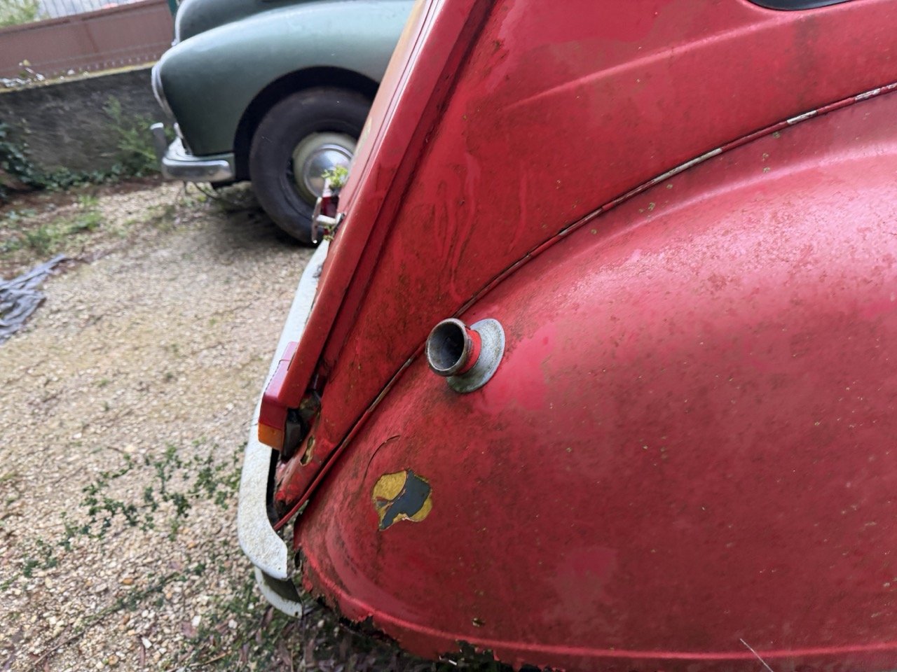 IMG_5504 – grande.jpeg