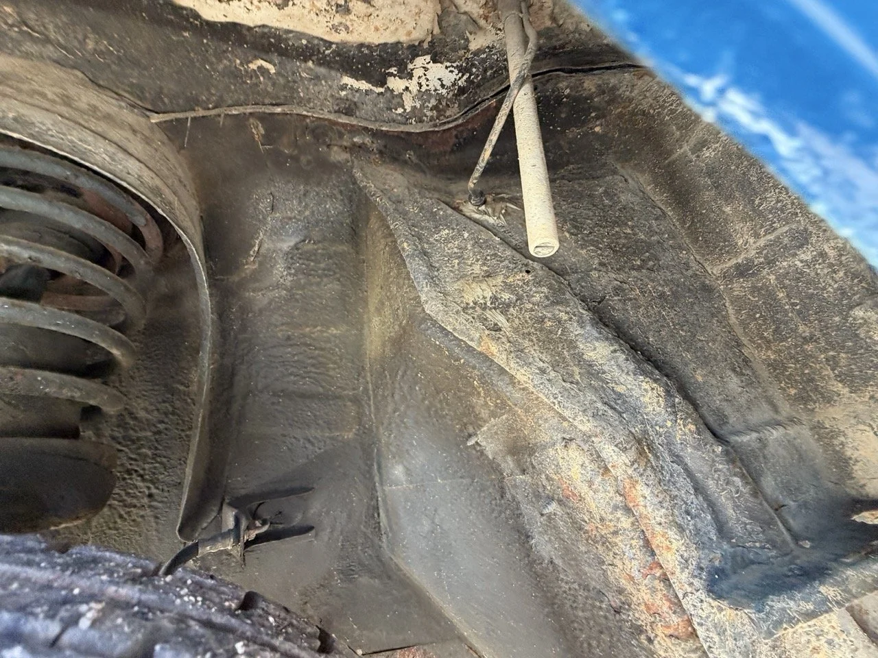 IMG_1913 – grande.jpeg