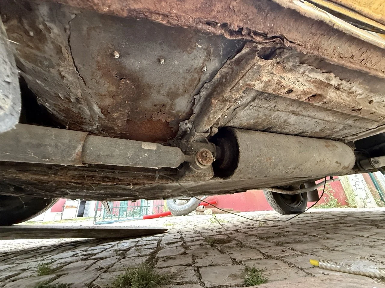 IMG_3820 – grande.jpeg