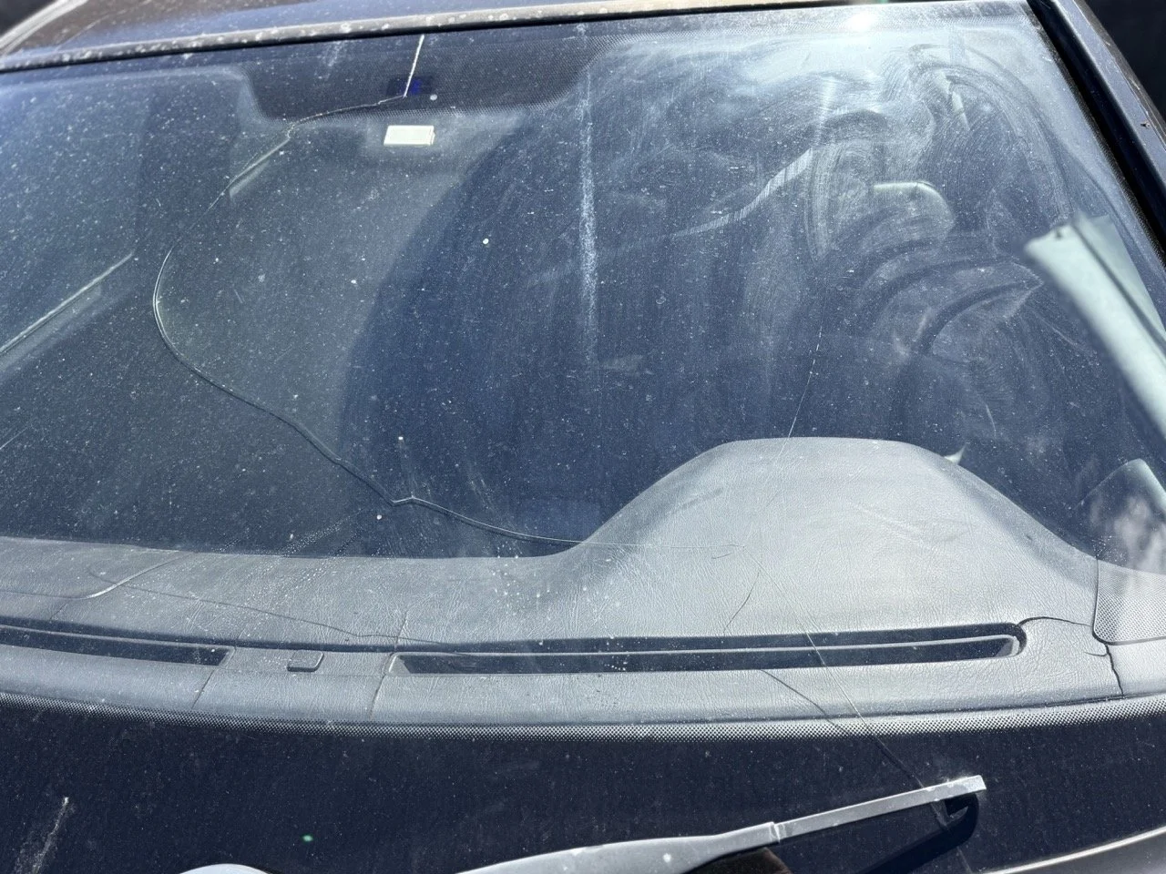 IMG_1794 – grande.jpeg