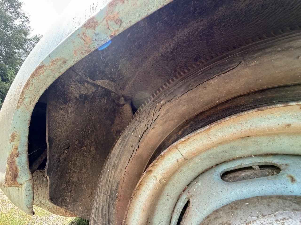 IMG_1423 – grande.jpeg