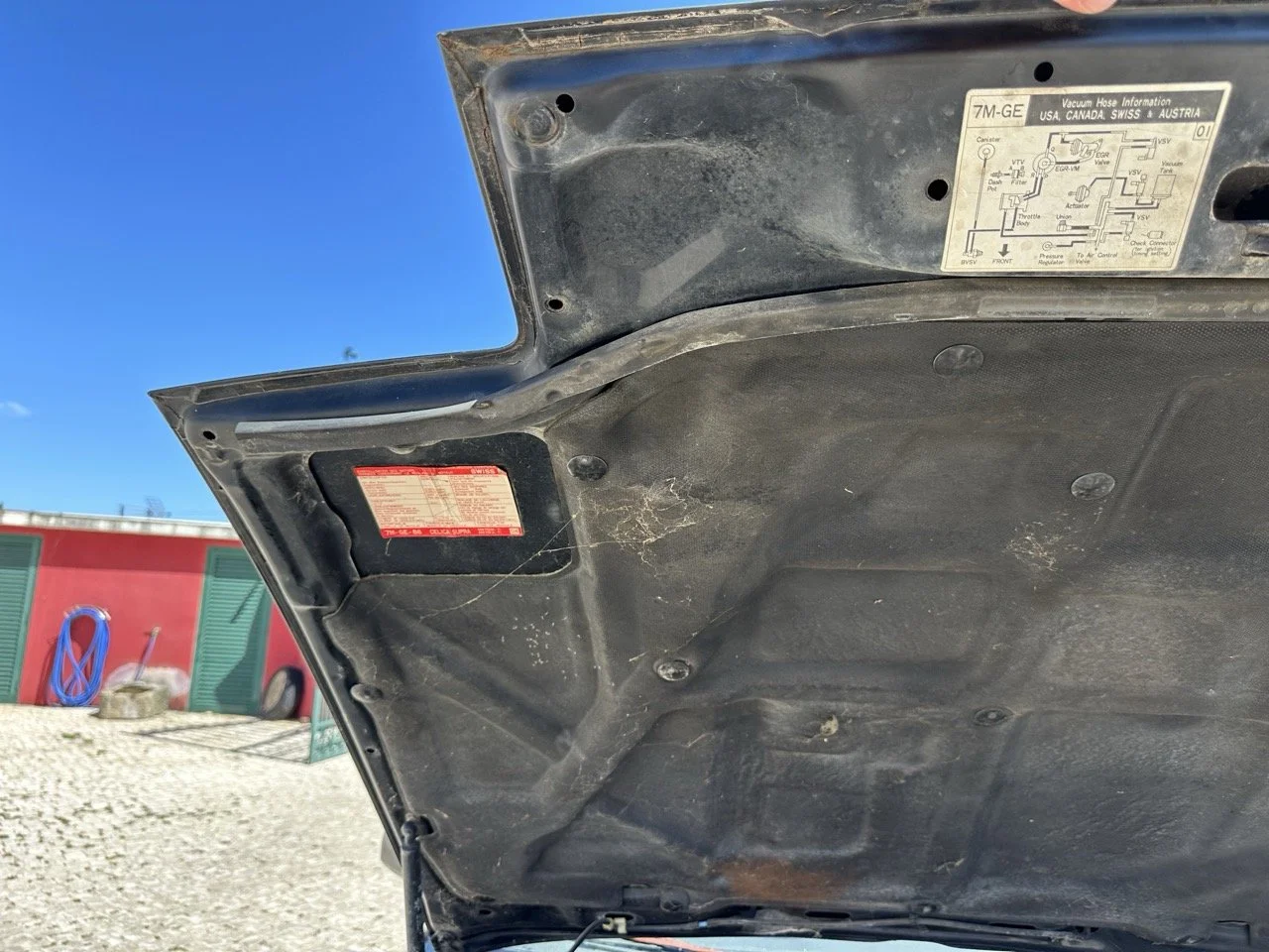 IMG_3069 – grande.jpeg