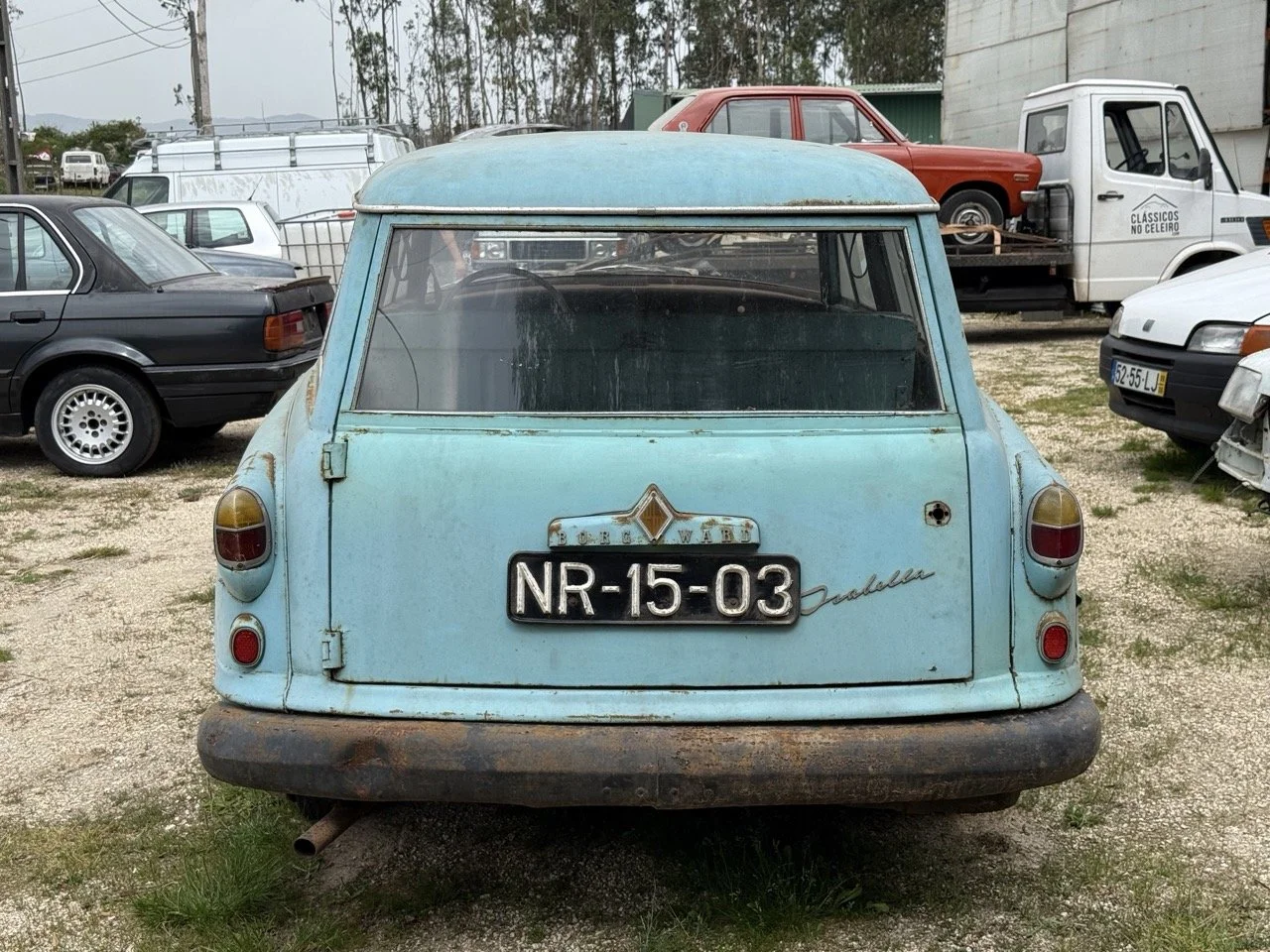 IMG_1351 – grande.jpeg