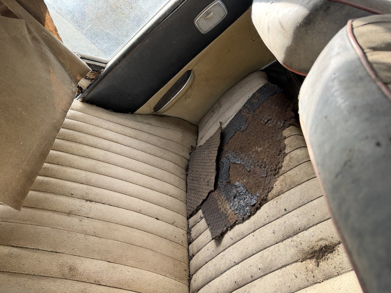 IMG_5066 – grande.jpeg