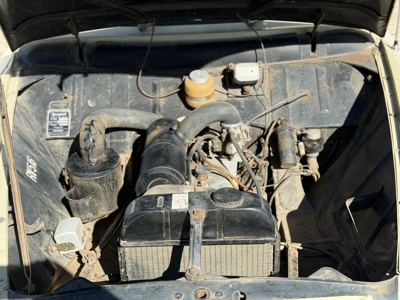 IMG_6664 – grande.jpeg