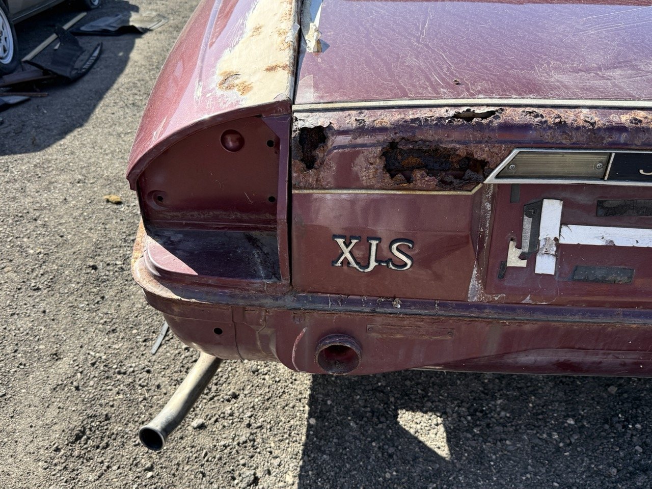 IMG_2995 – grande.jpeg