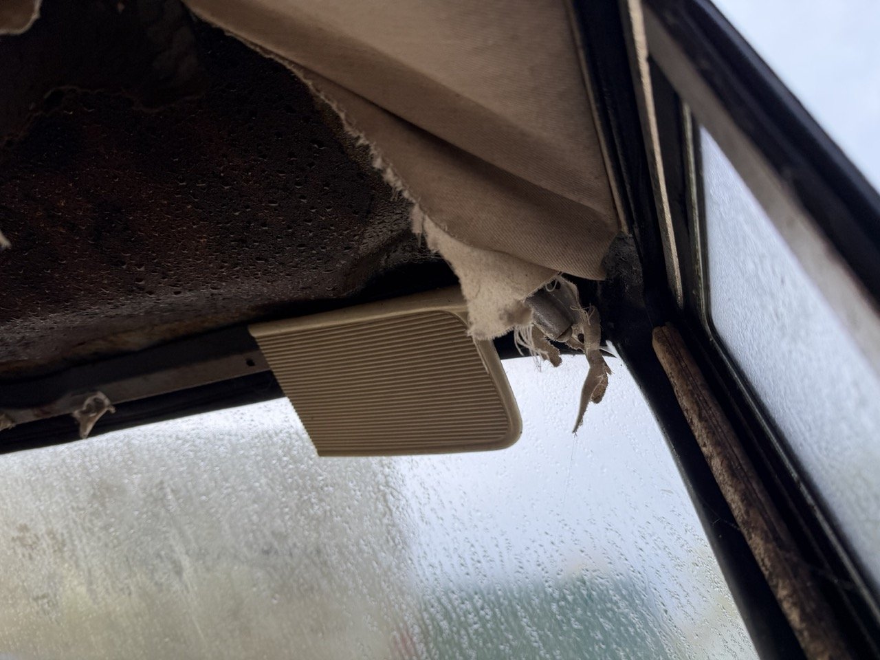 IMG_5060 – grande.jpeg