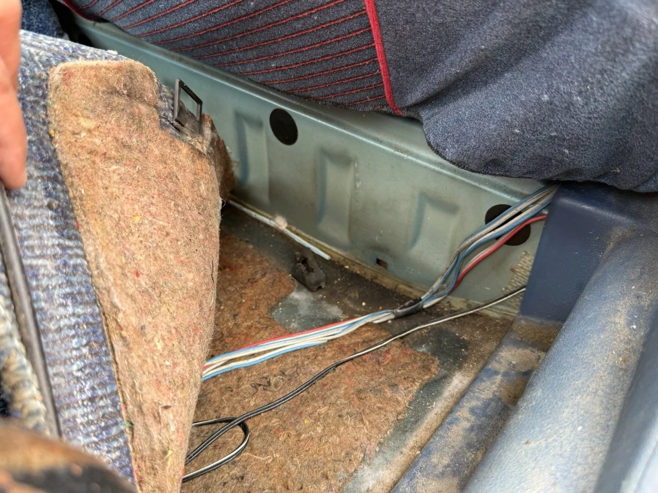 IMG_1530 – grande.jpeg