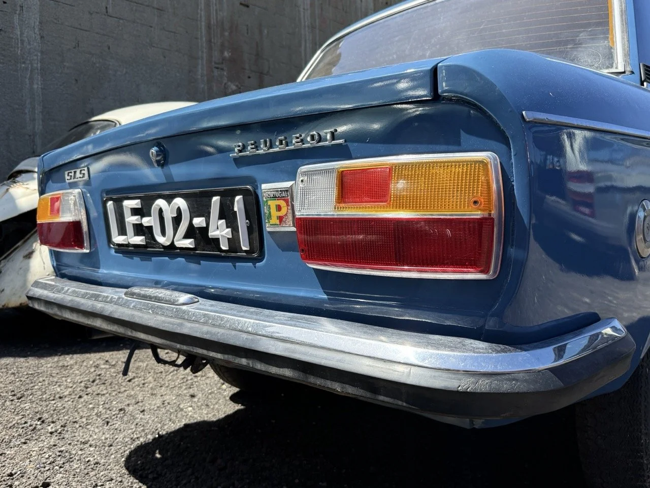 IMG_0775 – grande.jpeg