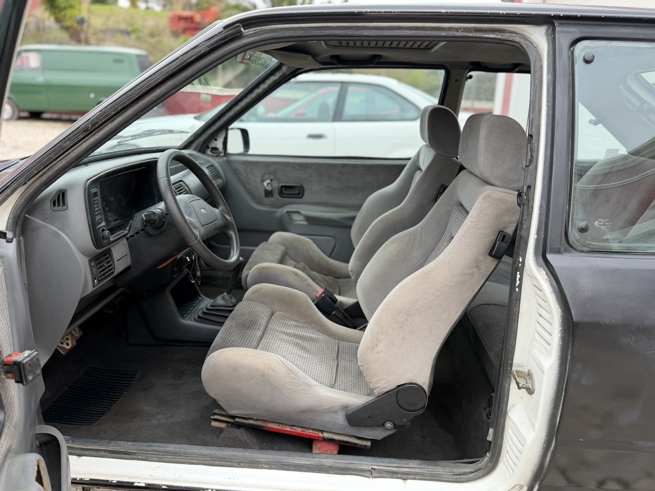 IMG_1260 – grande.jpeg