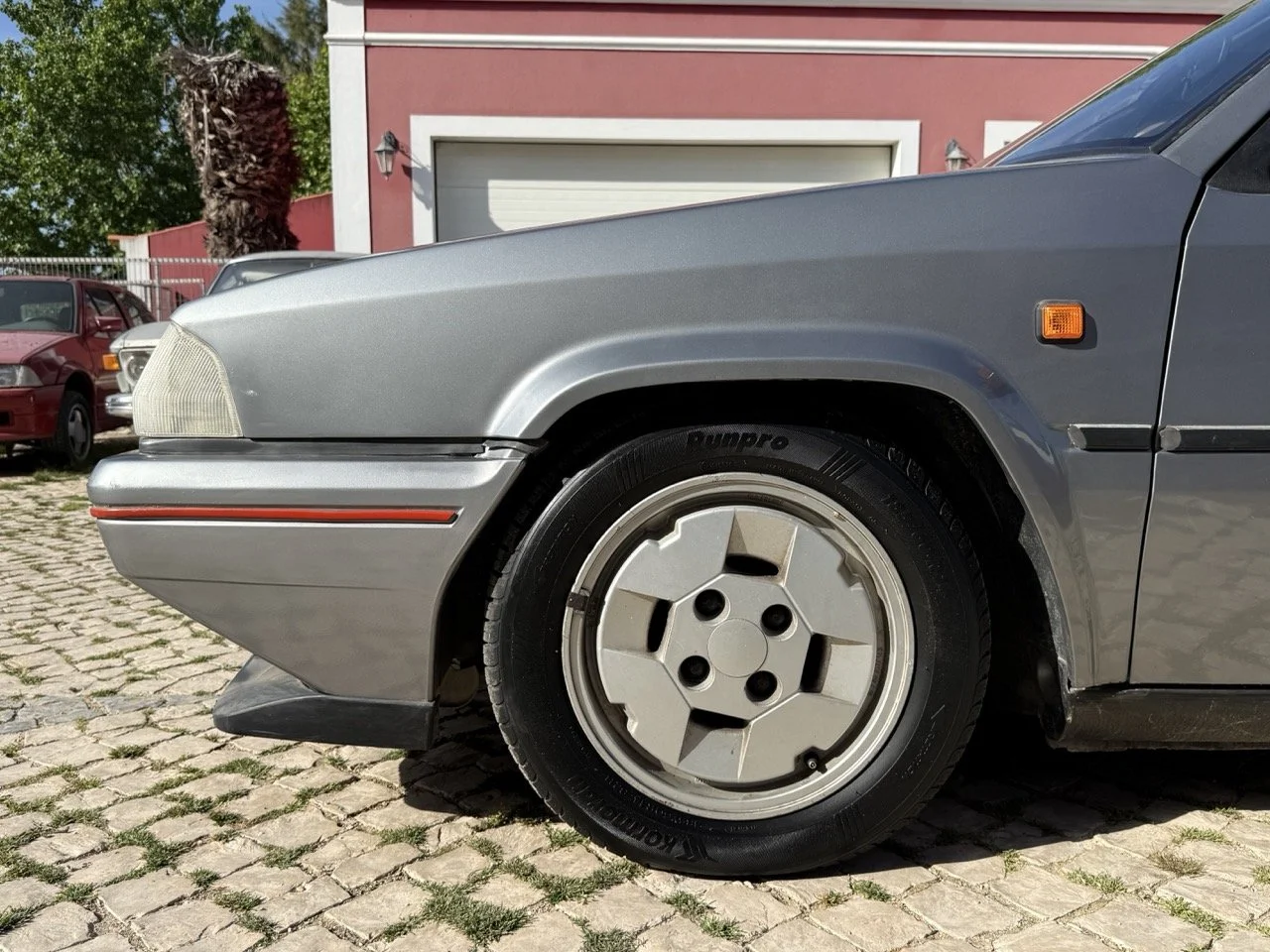 IMG_2645 – grande.jpeg