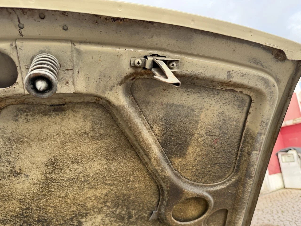 IMG_4078 – grande.jpeg