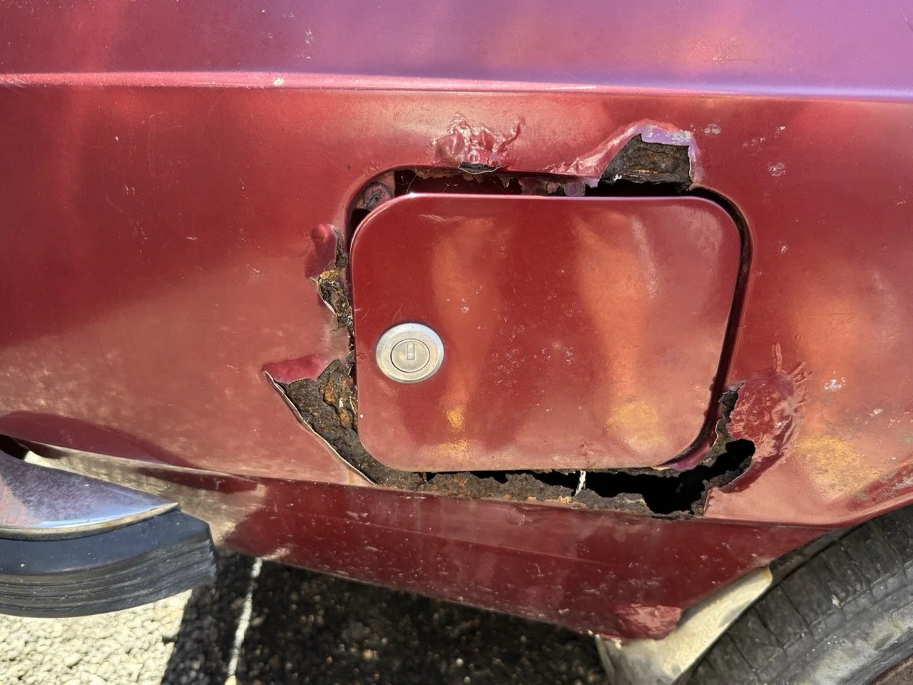 IMG_0948 – grande.jpeg