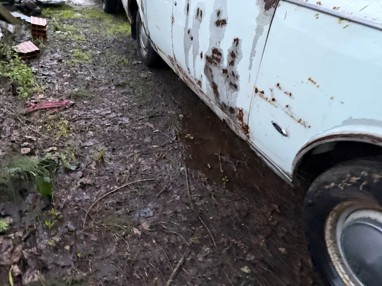 IMG_0169 – grande.jpeg