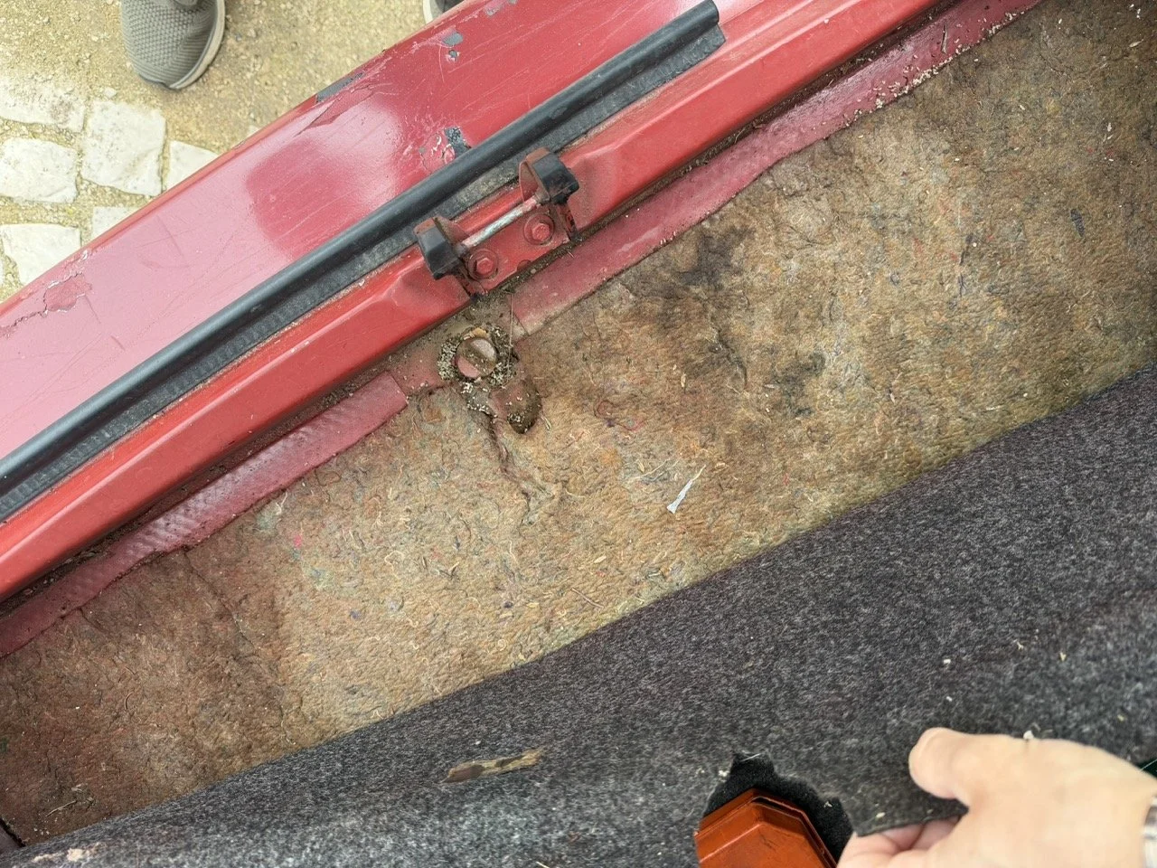 IMG_3619 – grande.jpeg