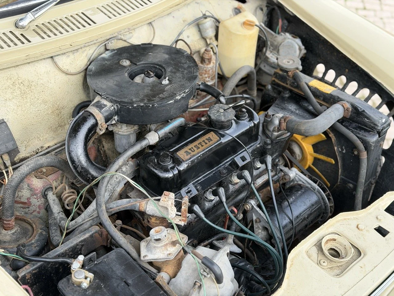 IMG_4066 – grande.jpeg