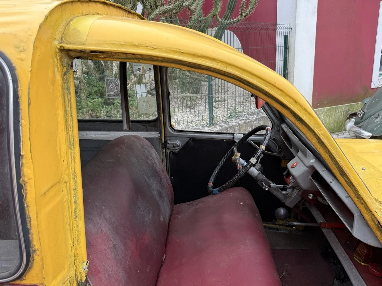 IMG_3793 – grande.jpeg