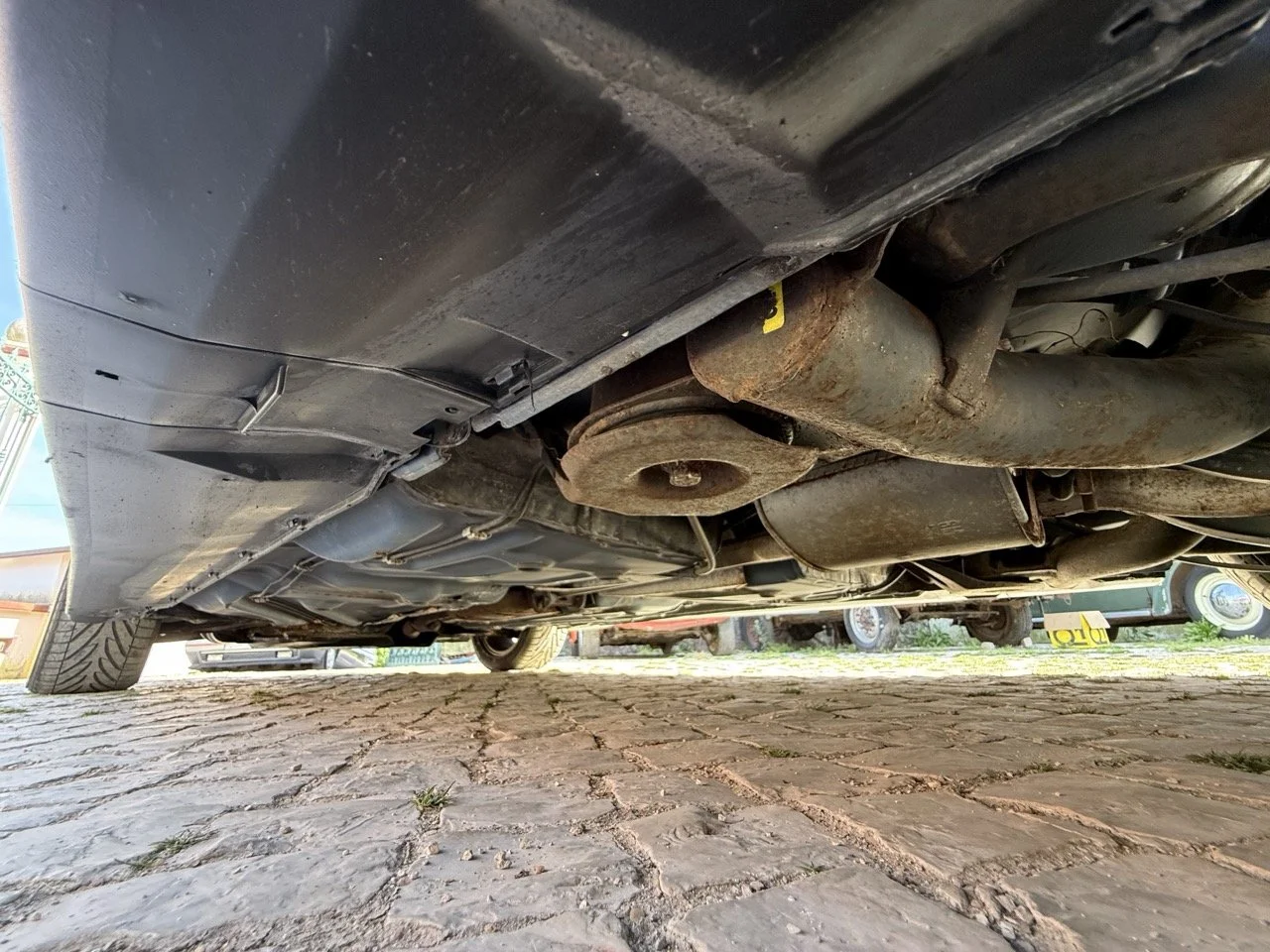 IMG_2502 – grande.jpeg