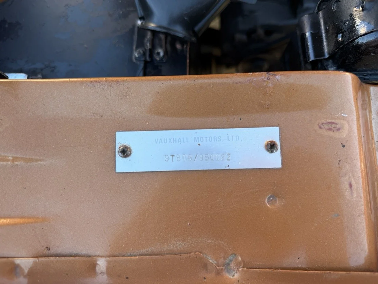 IMG_2402 – grande.jpeg