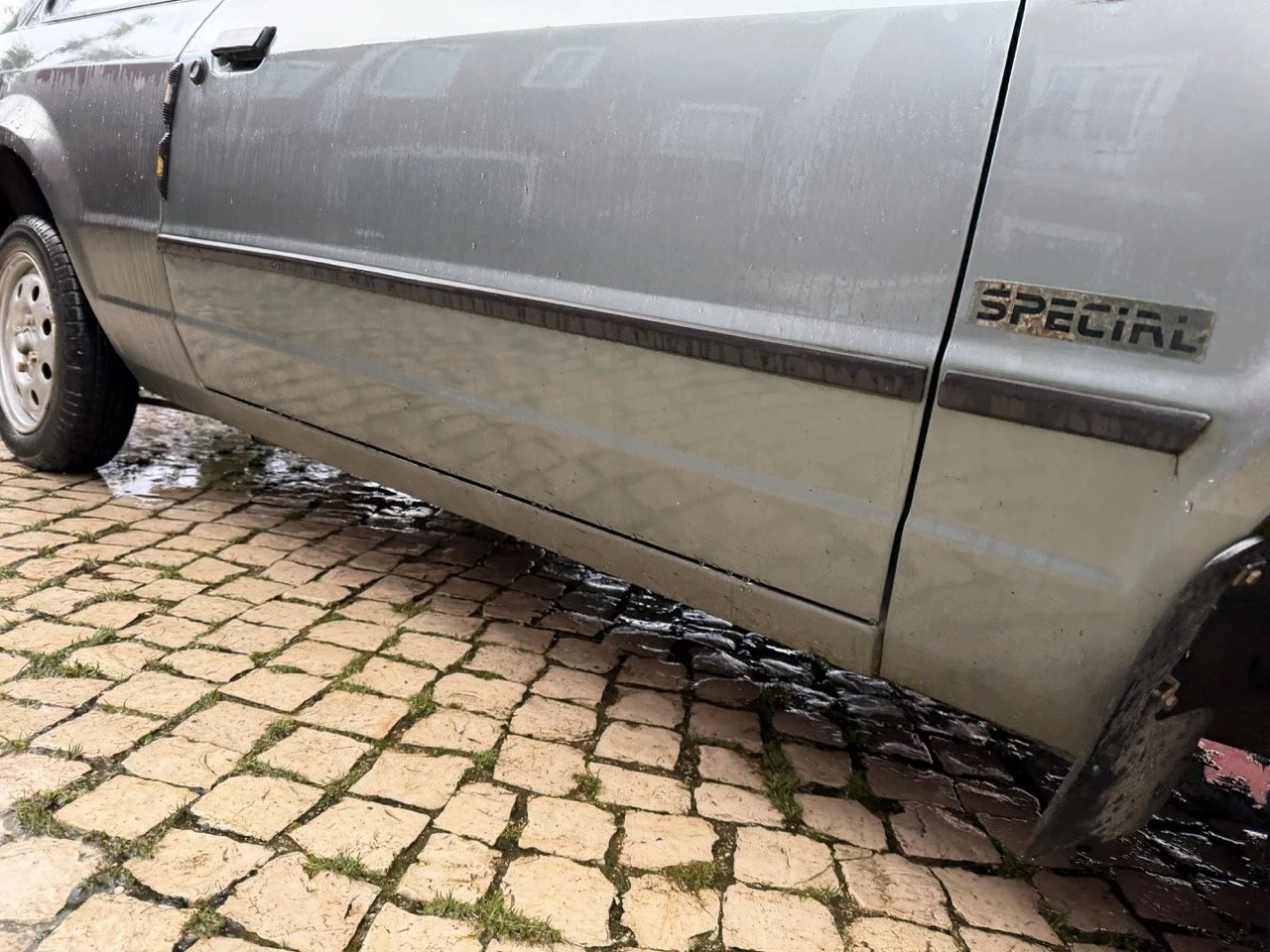 IMG_0626 – grande.jpeg