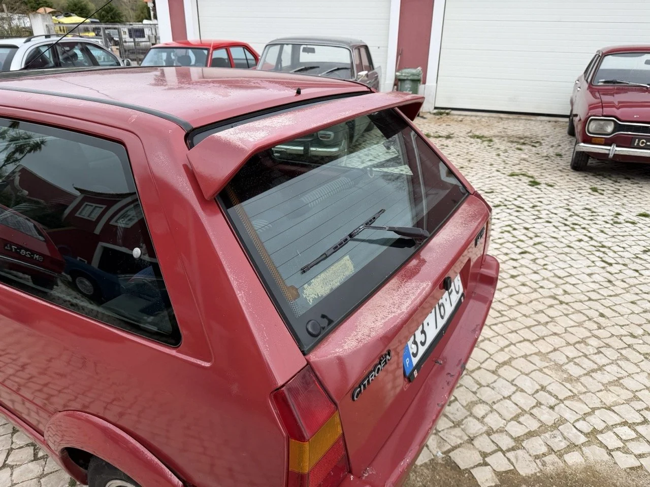 IMG_3644 – grande.jpeg