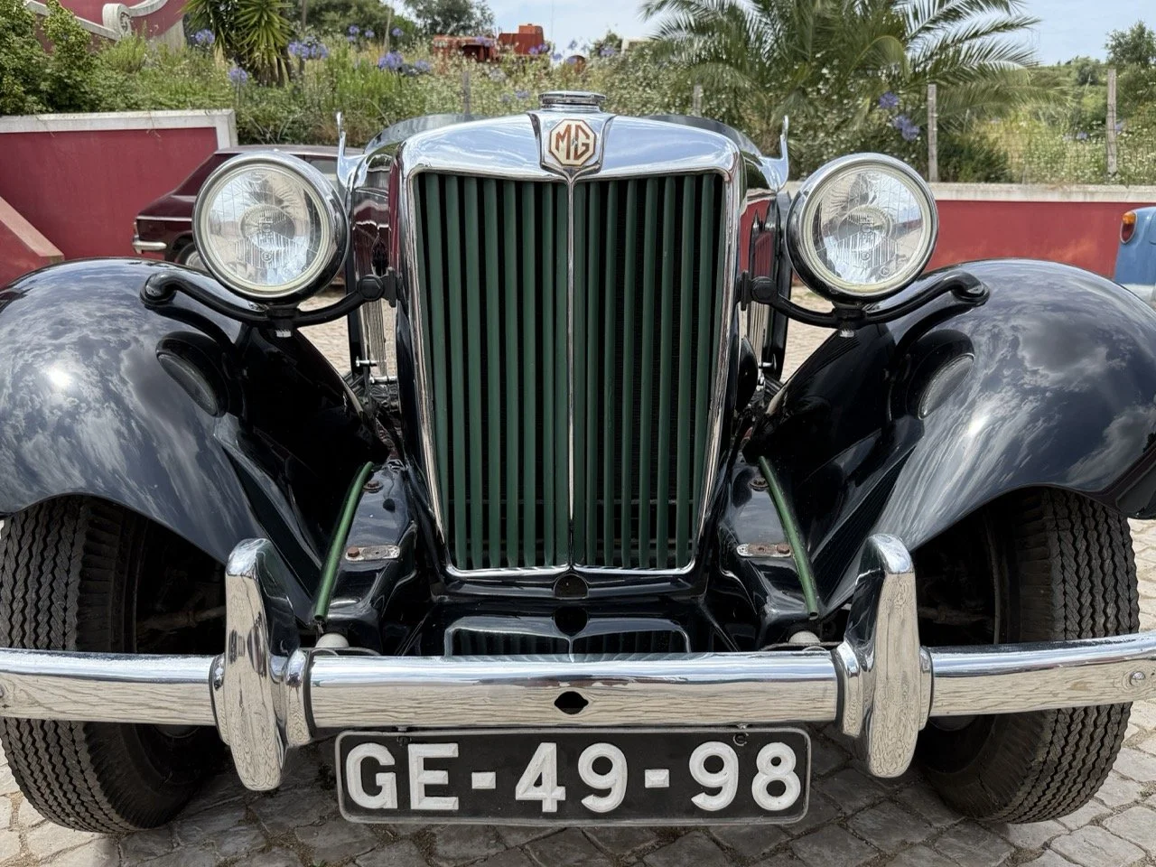 IMG_9684 – grande.jpeg