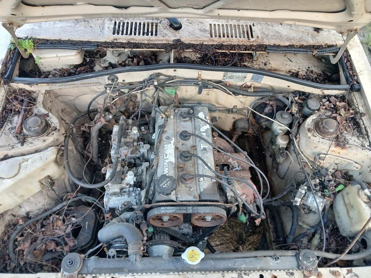 56874fcb-d3b6-4e34-8b8d-4e408c01a937 – grande.jpeg