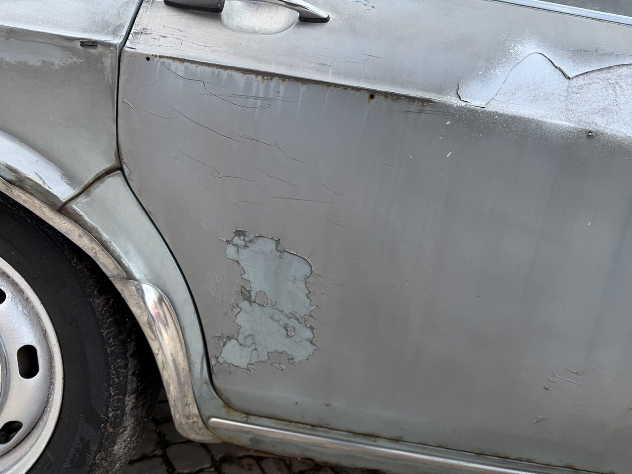 IMG_4852 – grande.jpeg