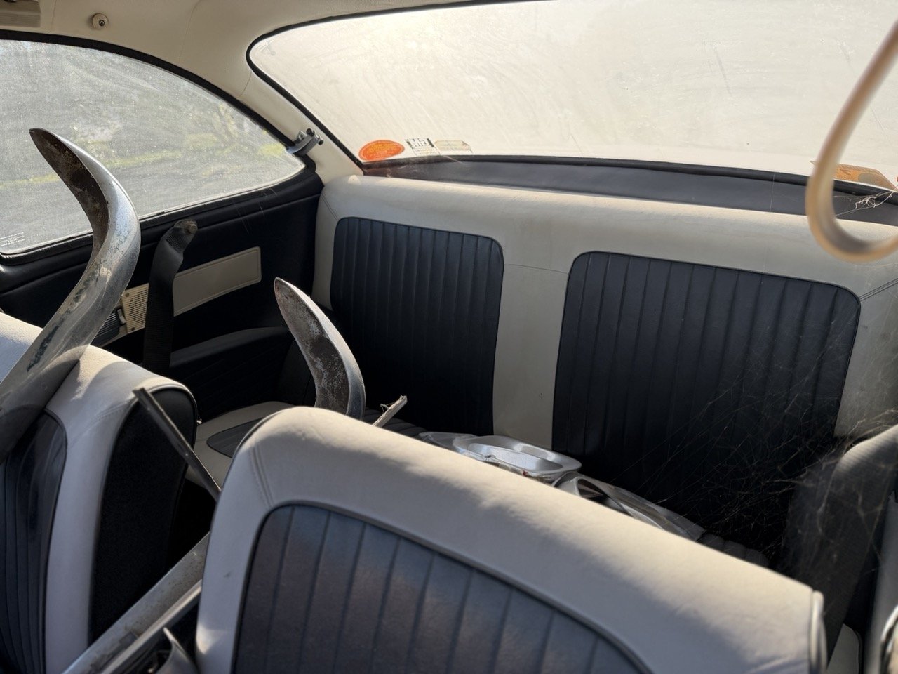 IMG_9049 2 – grande.jpeg