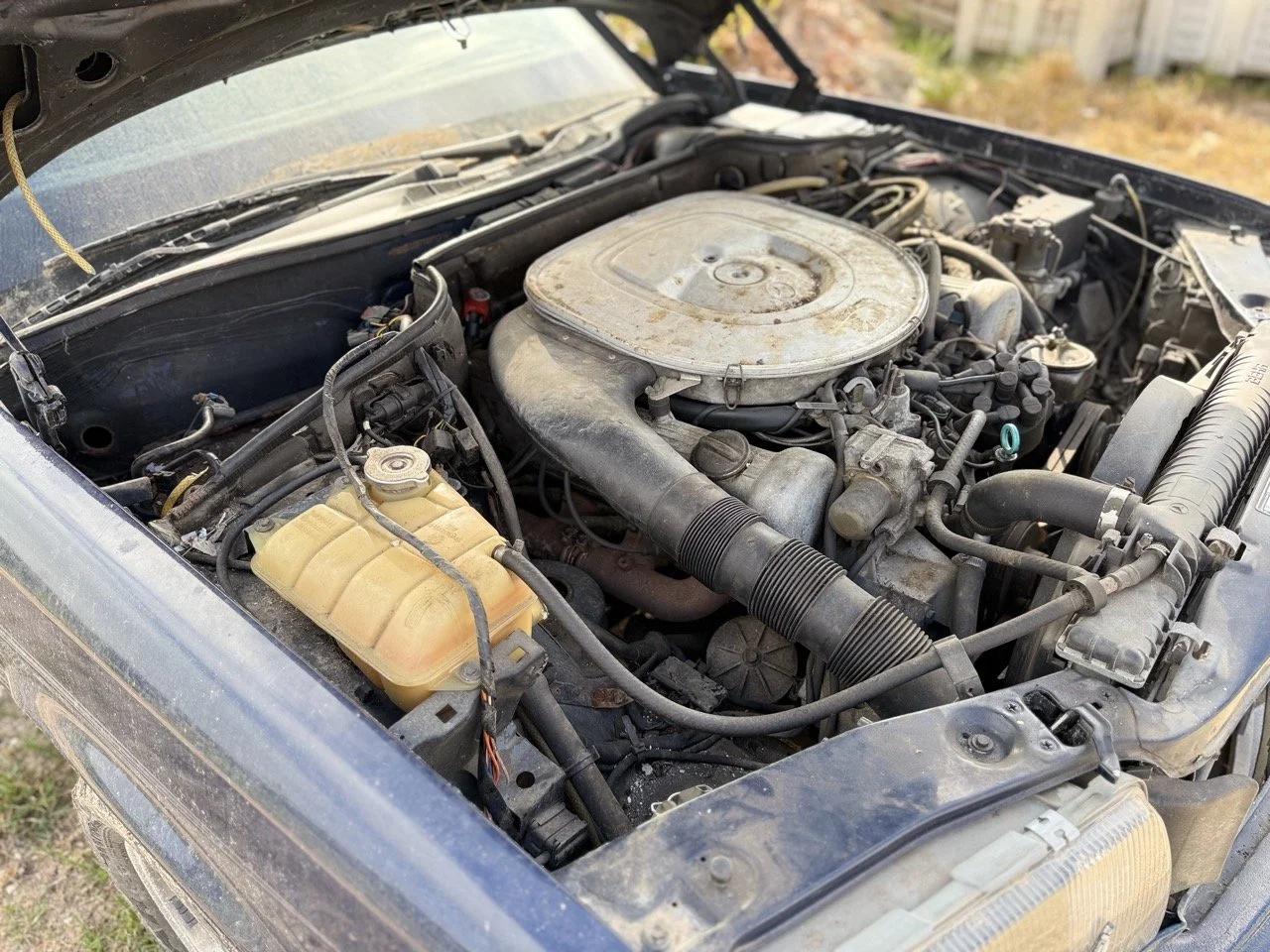 IMG_3388 – grande.jpeg