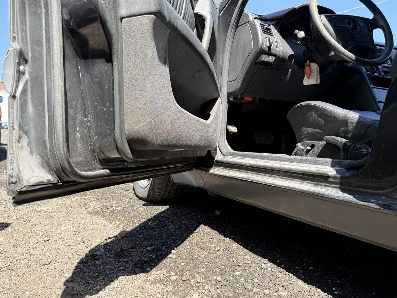 IMG_1744 – grande.jpeg