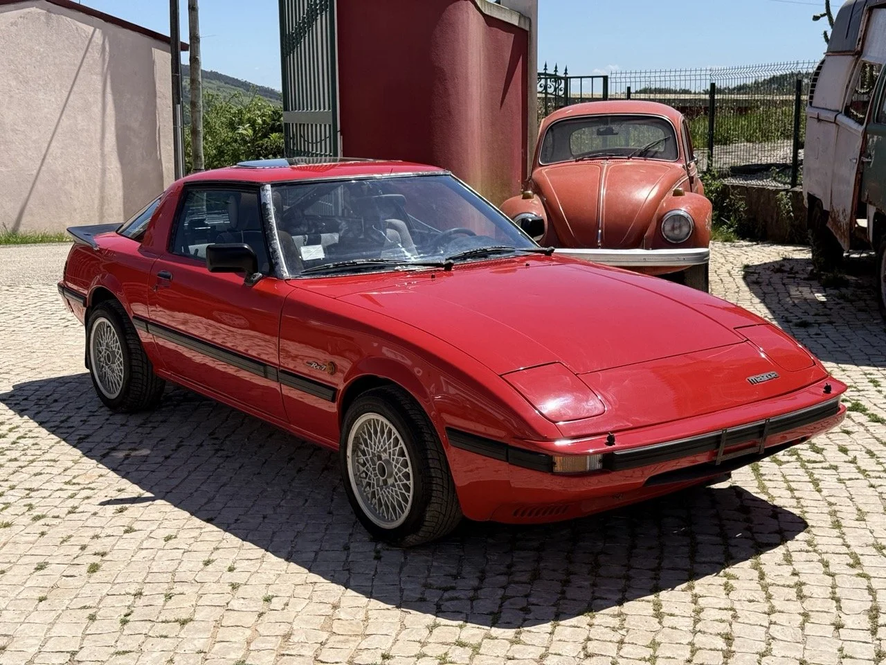 IMG_2025 – grande.jpeg