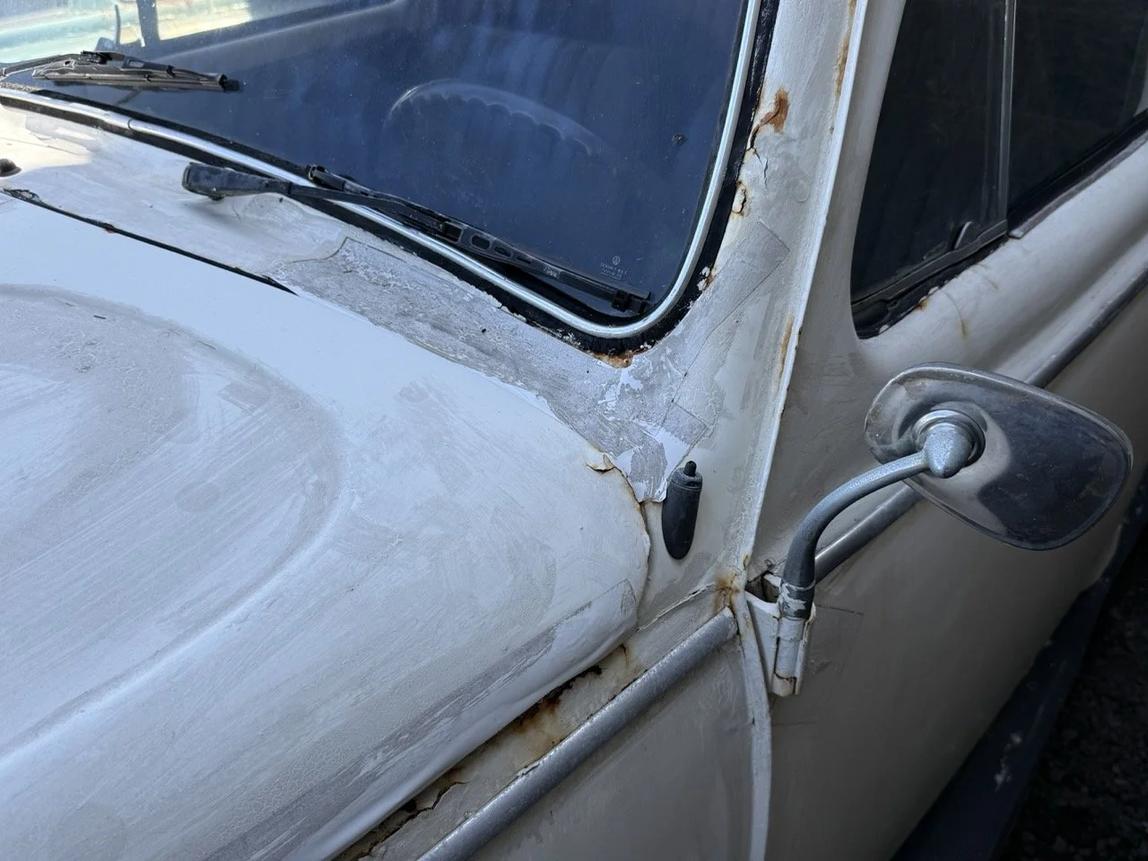 IMG_0707 – grande.jpeg