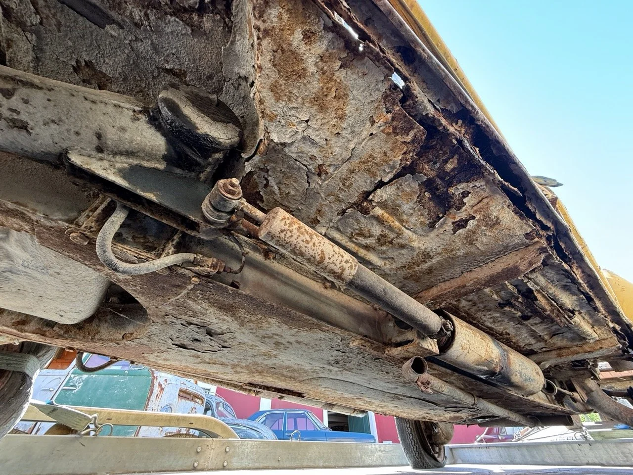 IMG_9136 – grande.jpeg